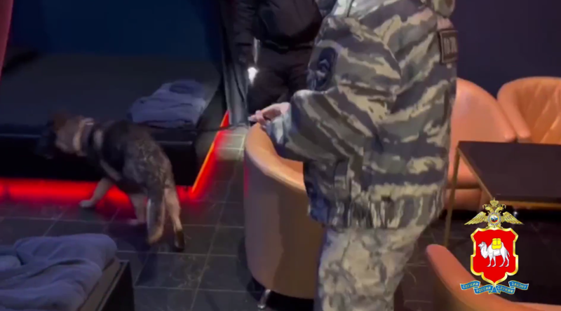    Скриншот видео ГУ МВД по Челябинской области.