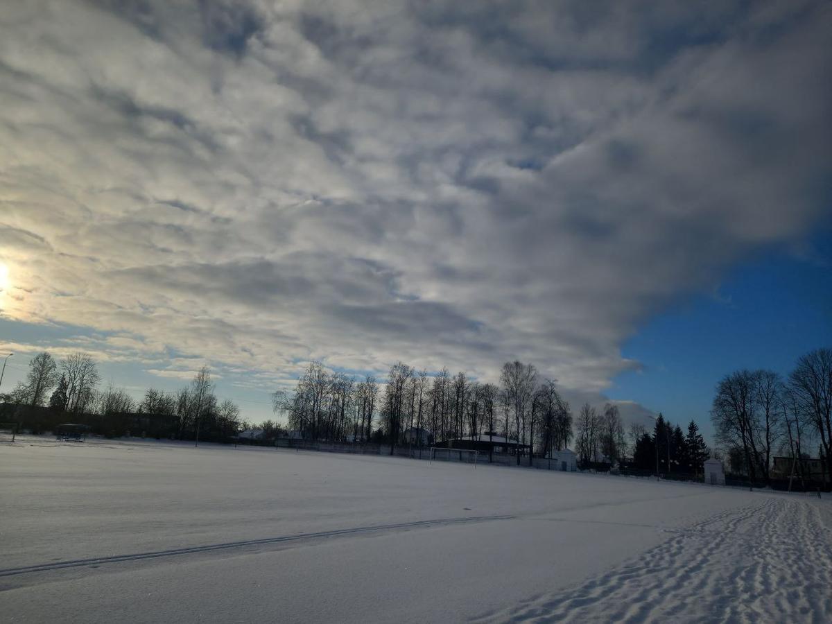Фото автора. 20 февраля. Брянская область.