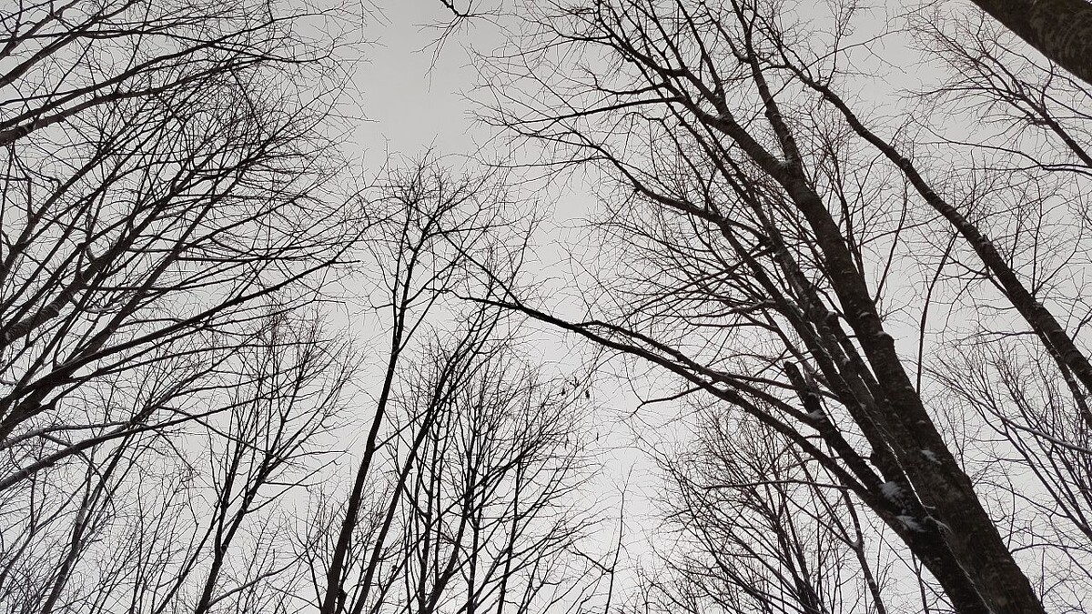    Фото: телеканал «Краснодар»