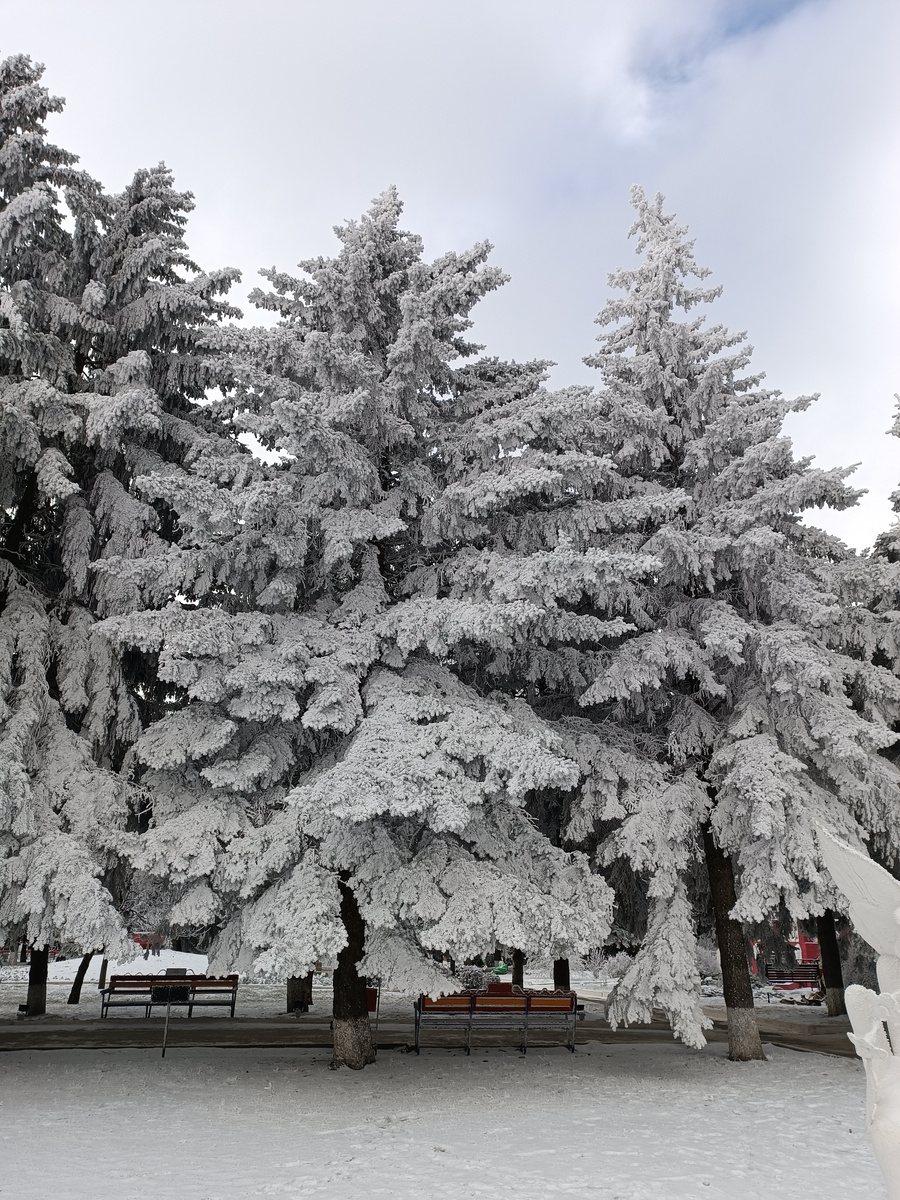 Парк Виктория.