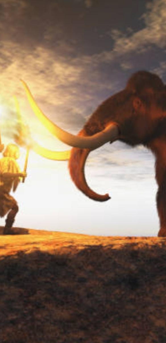 Фото с интернета.