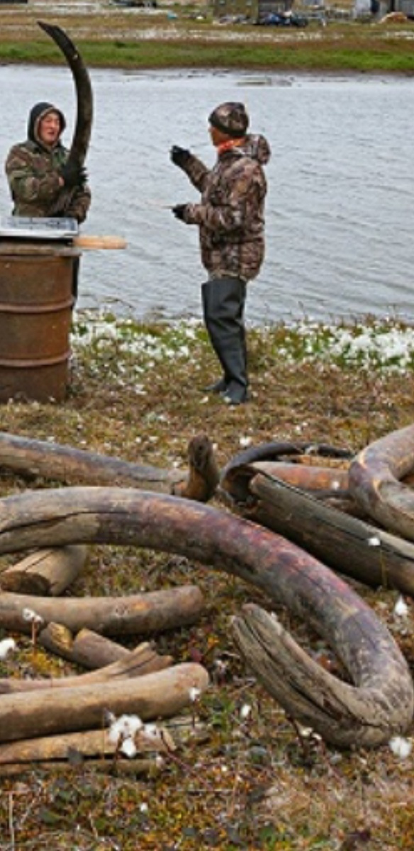 Фото с интернета.