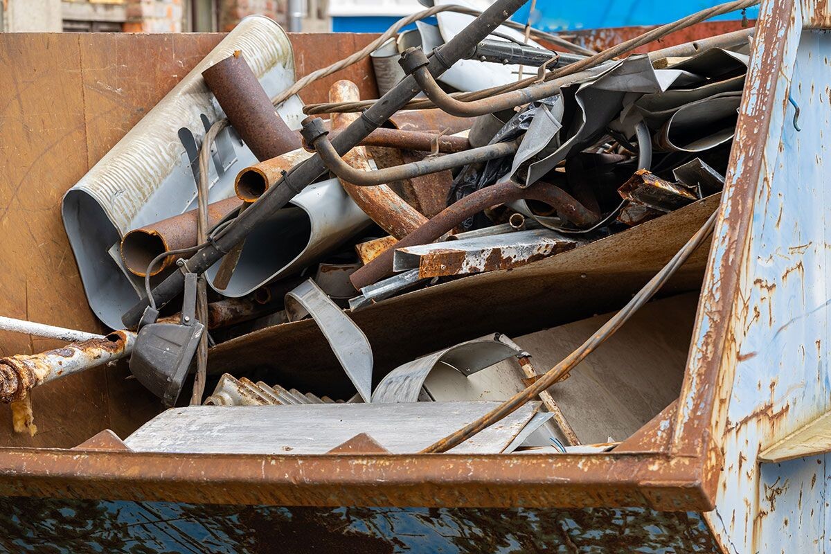    Фото: Animaflora PicsStock / Shutterstock.com