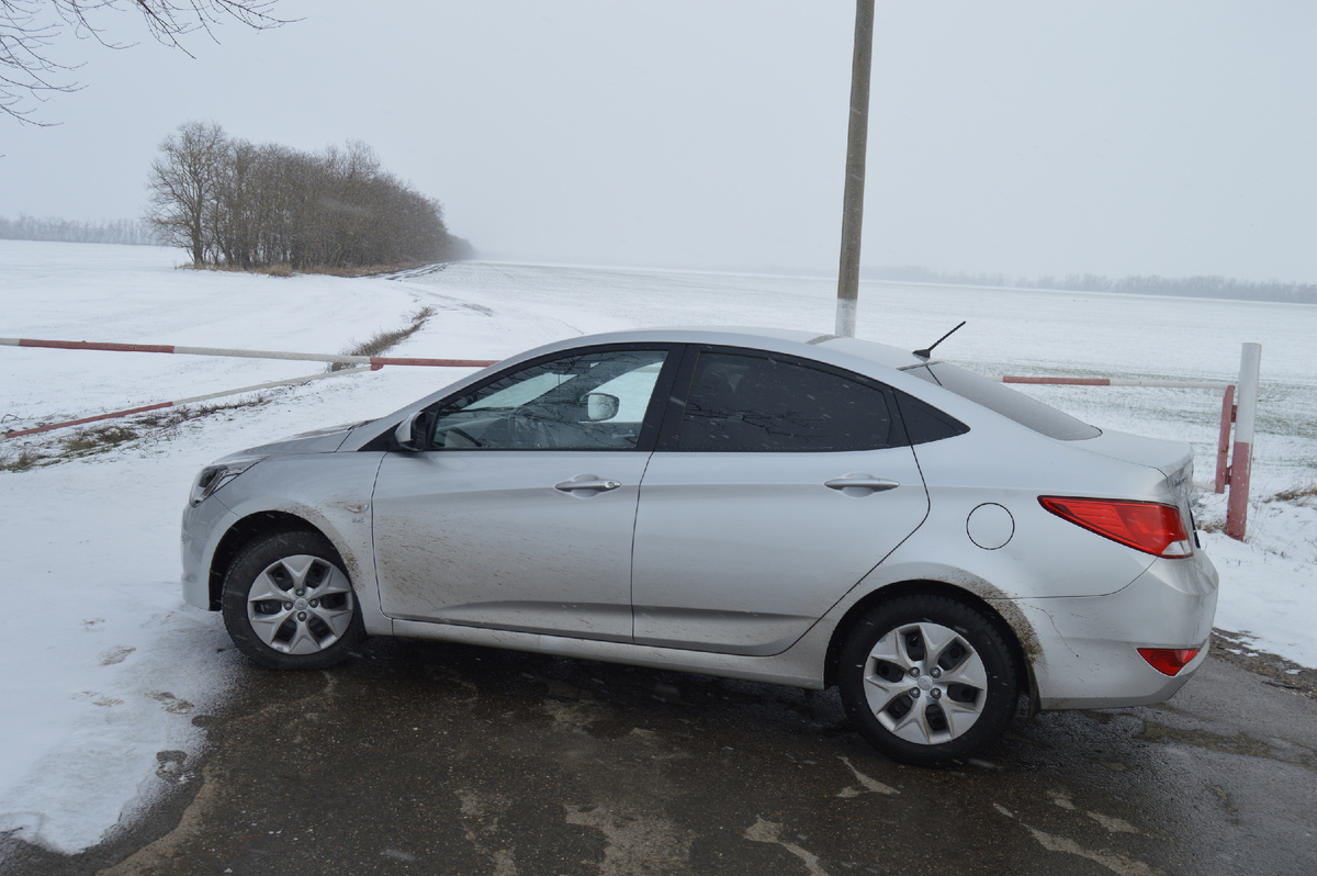 Фото автора. 19.02.2025. Зима на Кубани. В Сибири зима другая.