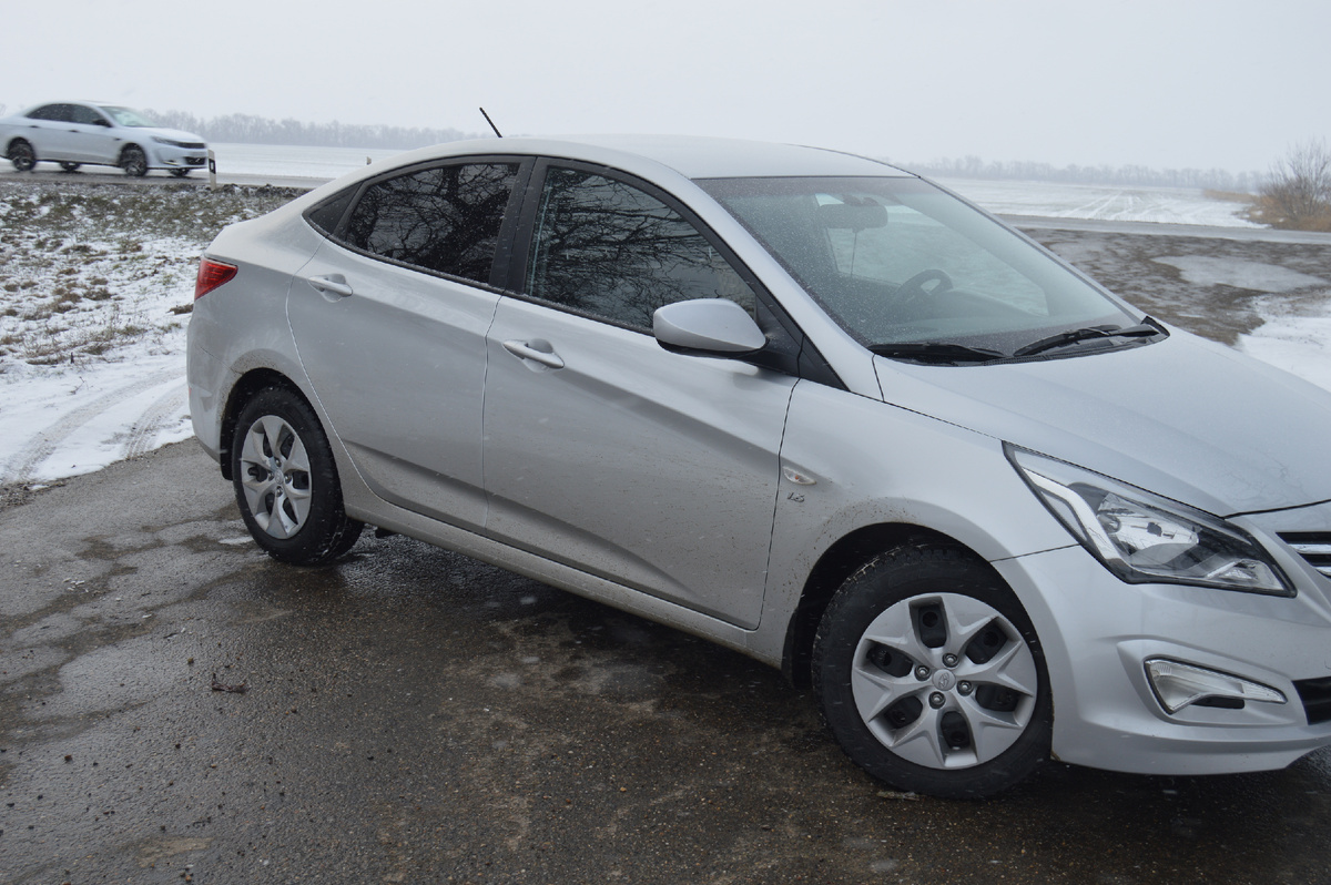 Фото автора. 19.02.2025. Кубань. Поперёк дороги.