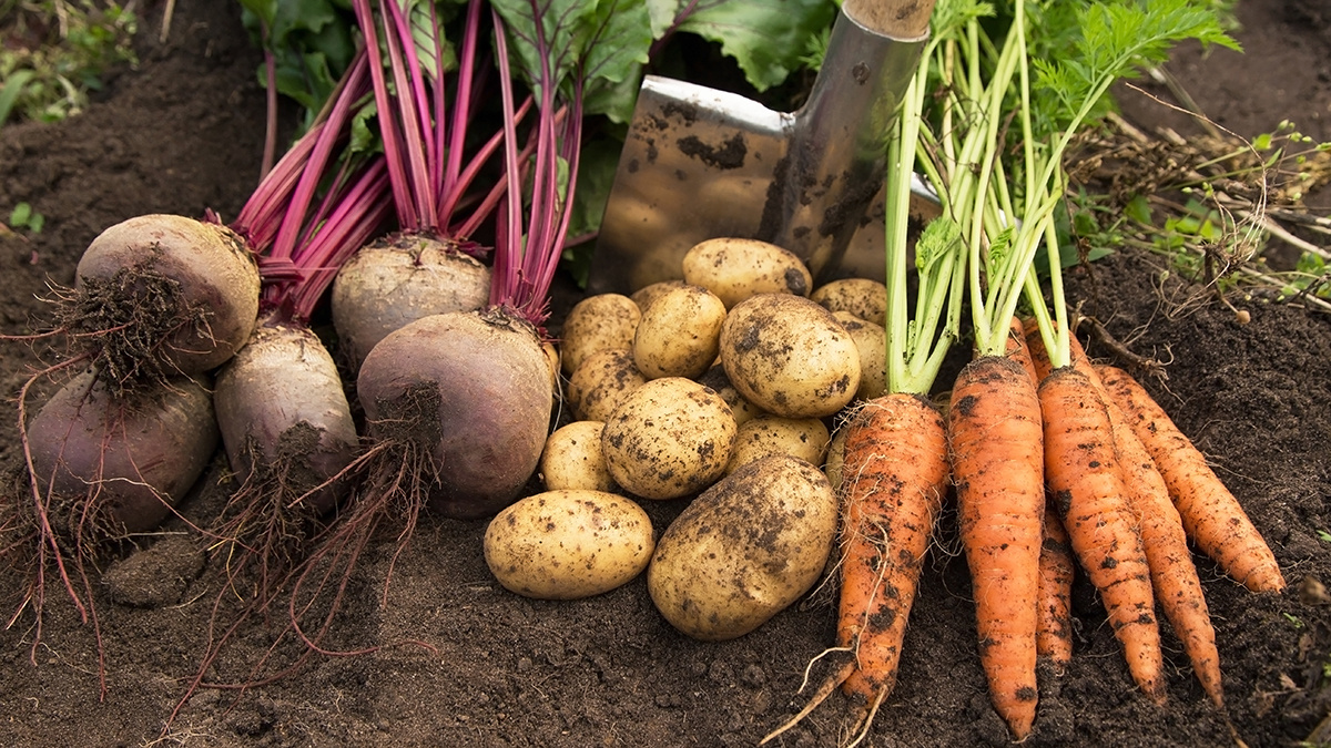    Фото: vm.ru Георгий