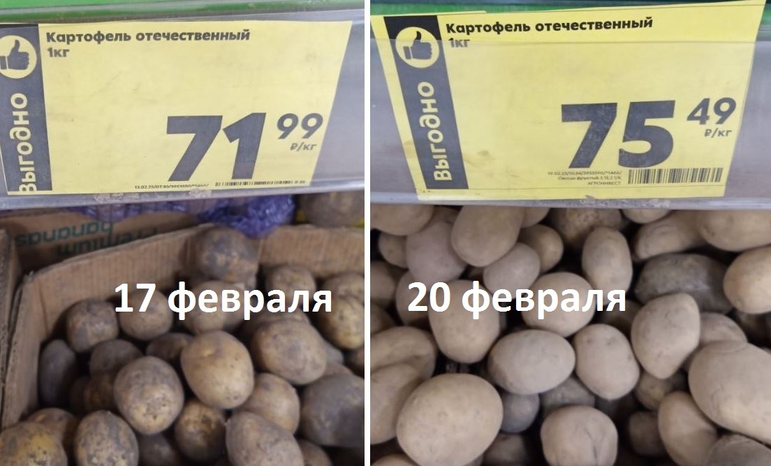 Цена на картофель в сетевом магазине 17 февраля и 20 февраля 2025 года (фото РОСГОД)