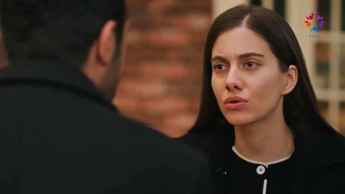 Стоп-кадр. Сериал "Зимородок", 93 серия