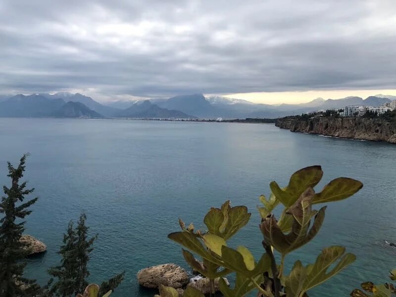 Фото: UfacityNews.ru