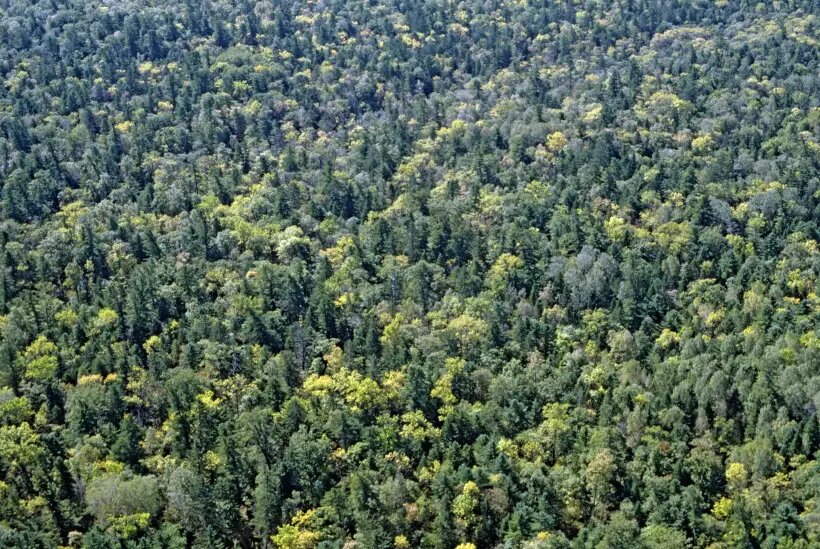     © РИА Новости. Александр Лыскин