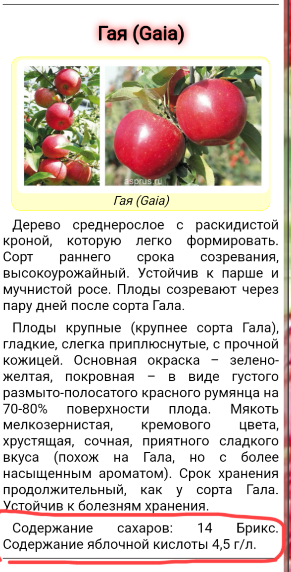 фото с сайта Ассоциации садоводов России