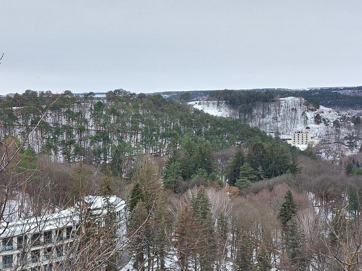 Вид на Сосновую горку со смотровой площадки санатория им. Горького
