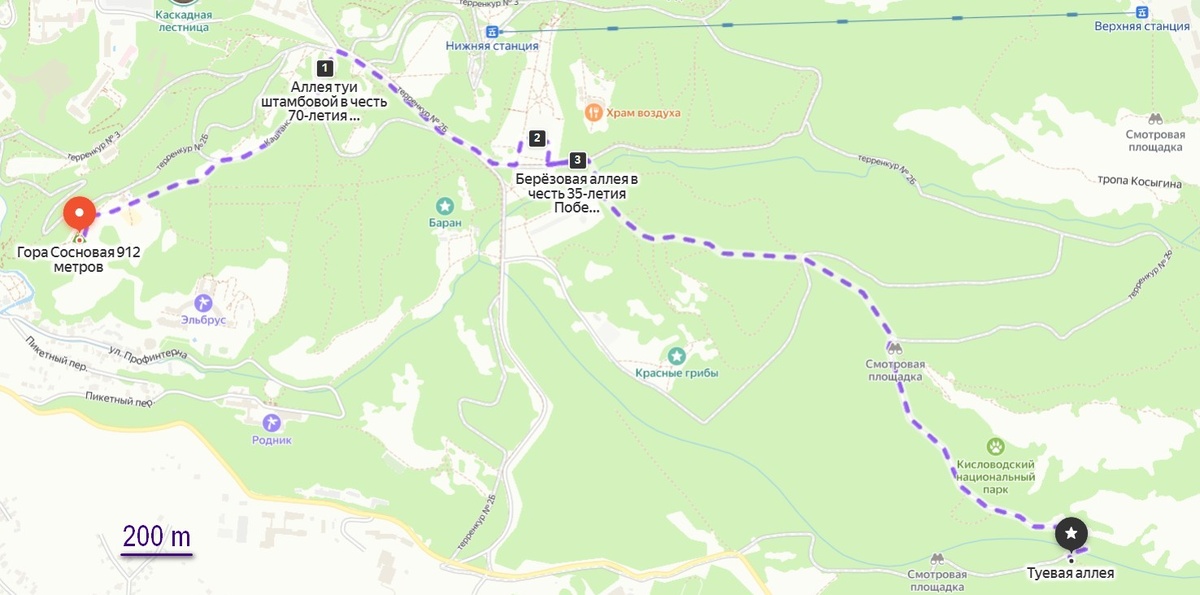 Расположение аллей в Кисловодском парке