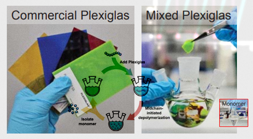   N + 1; Hyun Suk Wang et al. / Science, 2025