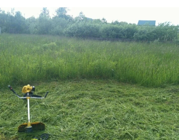 Начало сенокоса. 