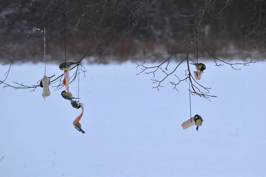 фото Юлии Афанасьевой