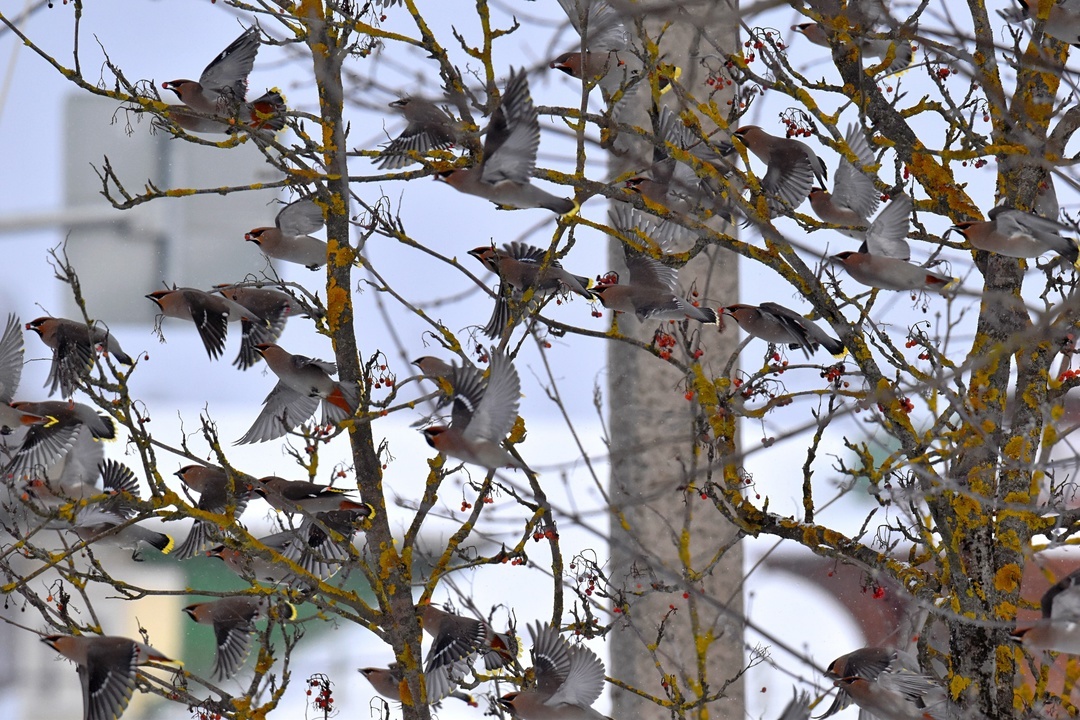 фото Юлии Афанасьевой