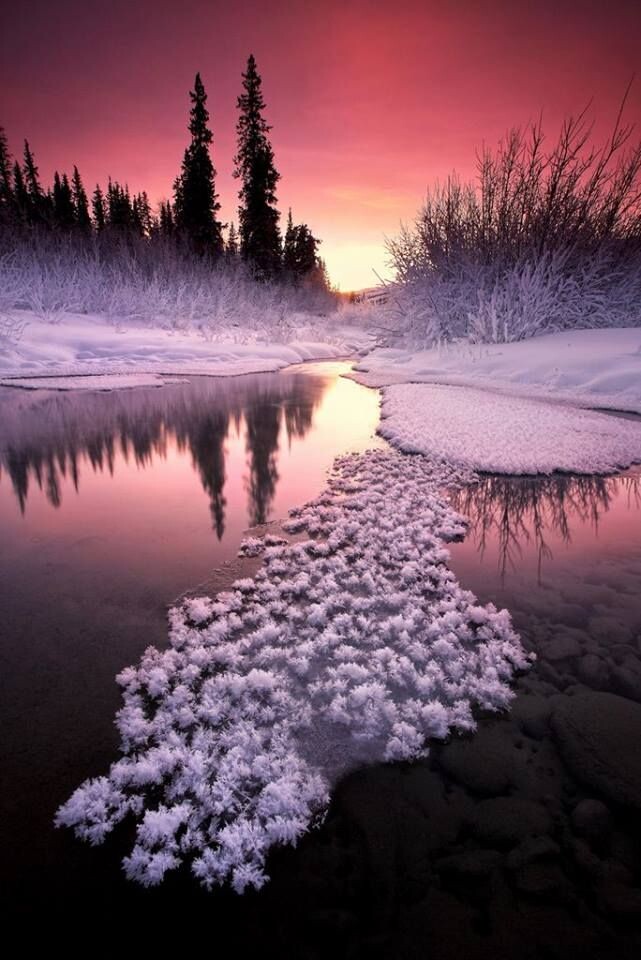 Фото взято из интернета.