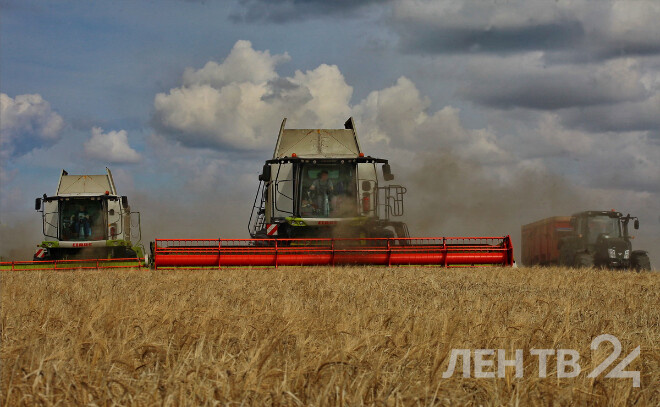    © Анастасия Илюшина / ЛенТВ24