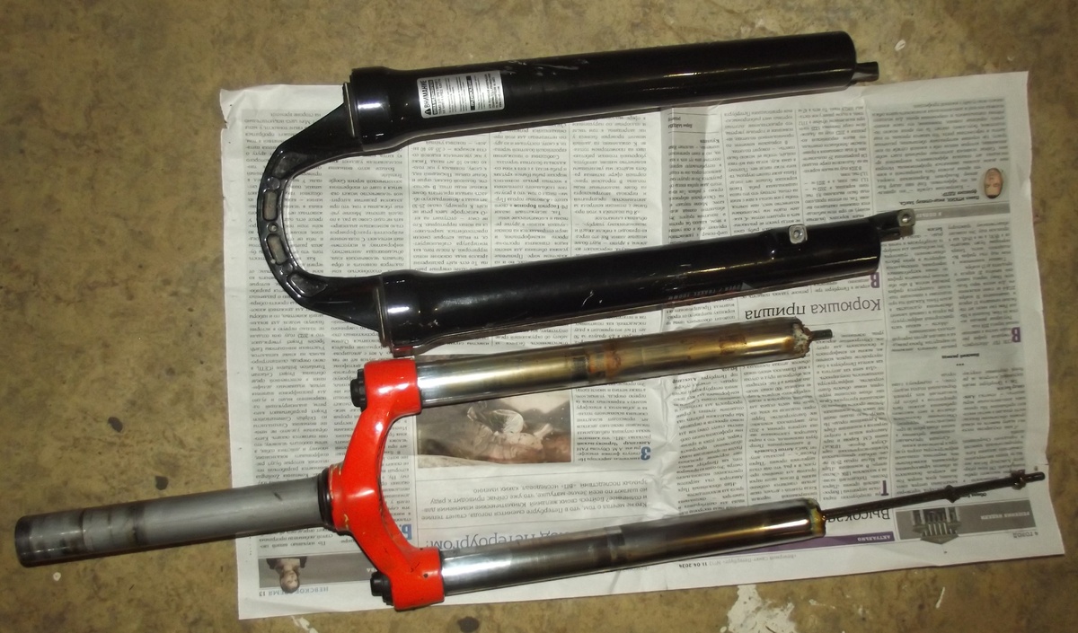 Вилка обычной заржавелости