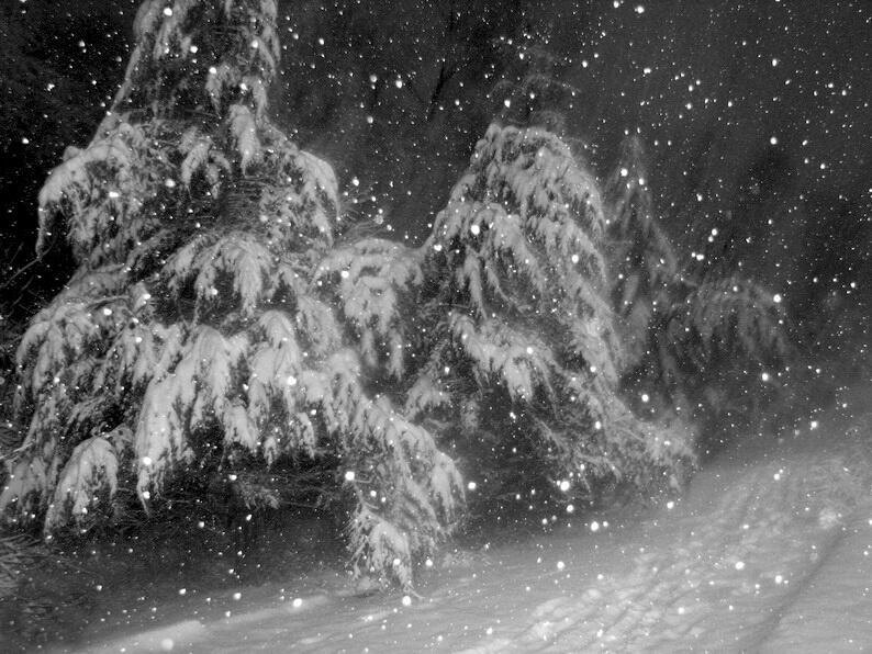 фото из открытых источников интернета