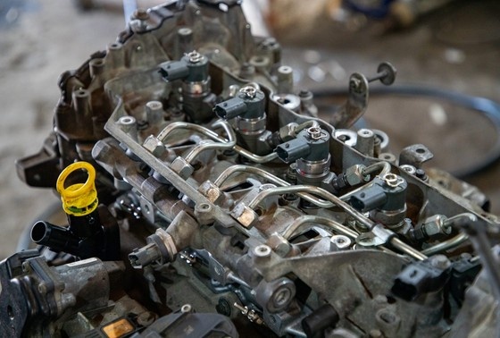    Сергей Петров/NEWS.ru