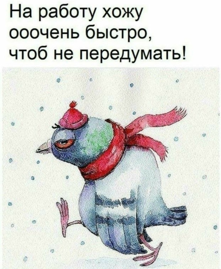Мчусь на всех парусах!😄