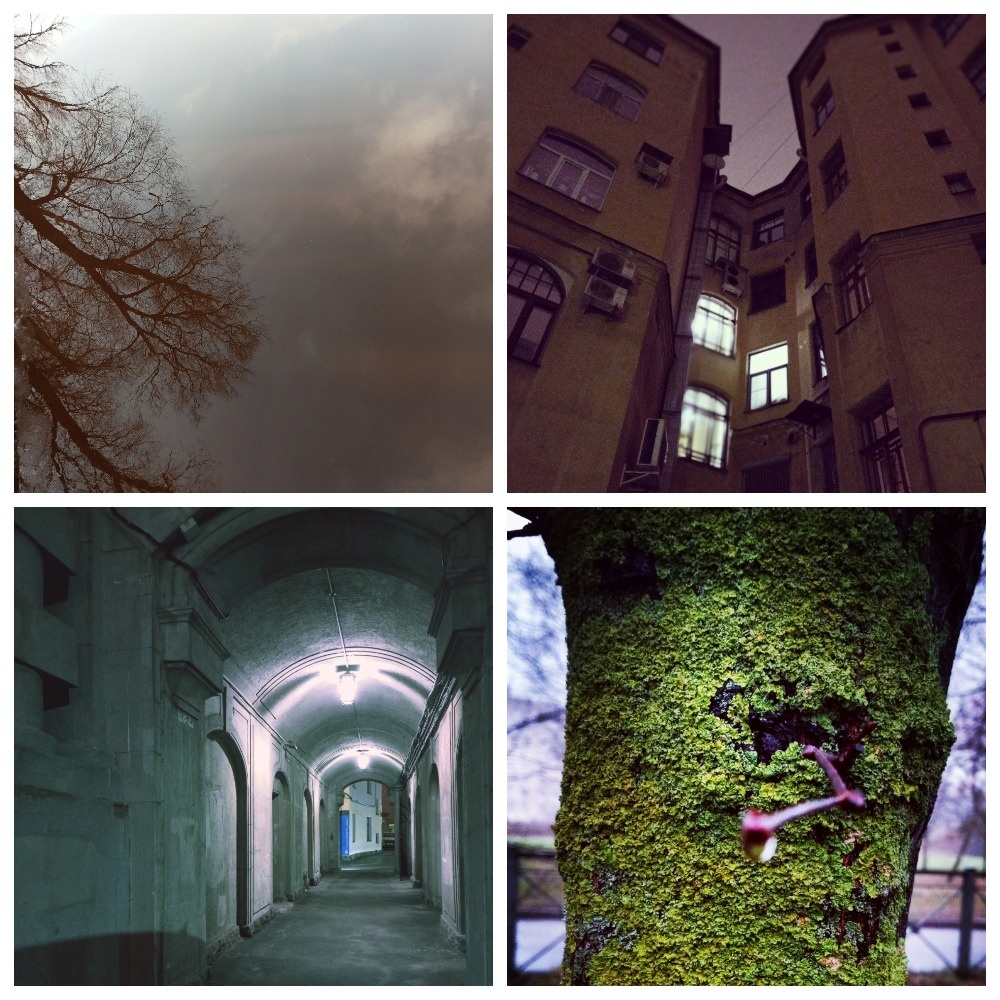 Фотографии в стиле Югэн 