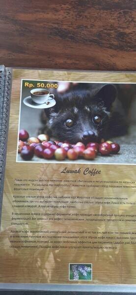    Владимир Голубков, личный архив