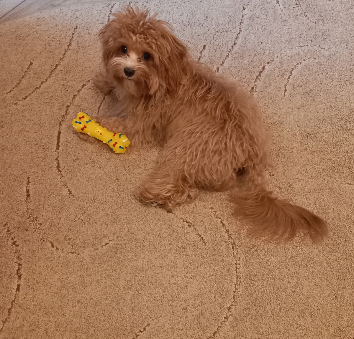 Личное фото автора