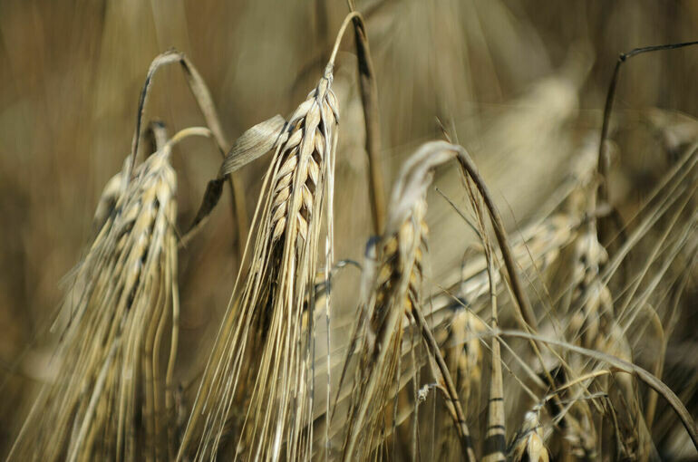   Юрий Инякин/ПГ