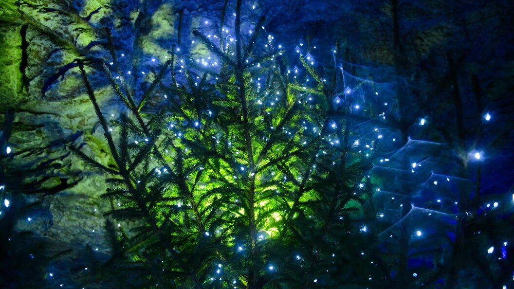    Dmitry Chasovitin/Globallookpress