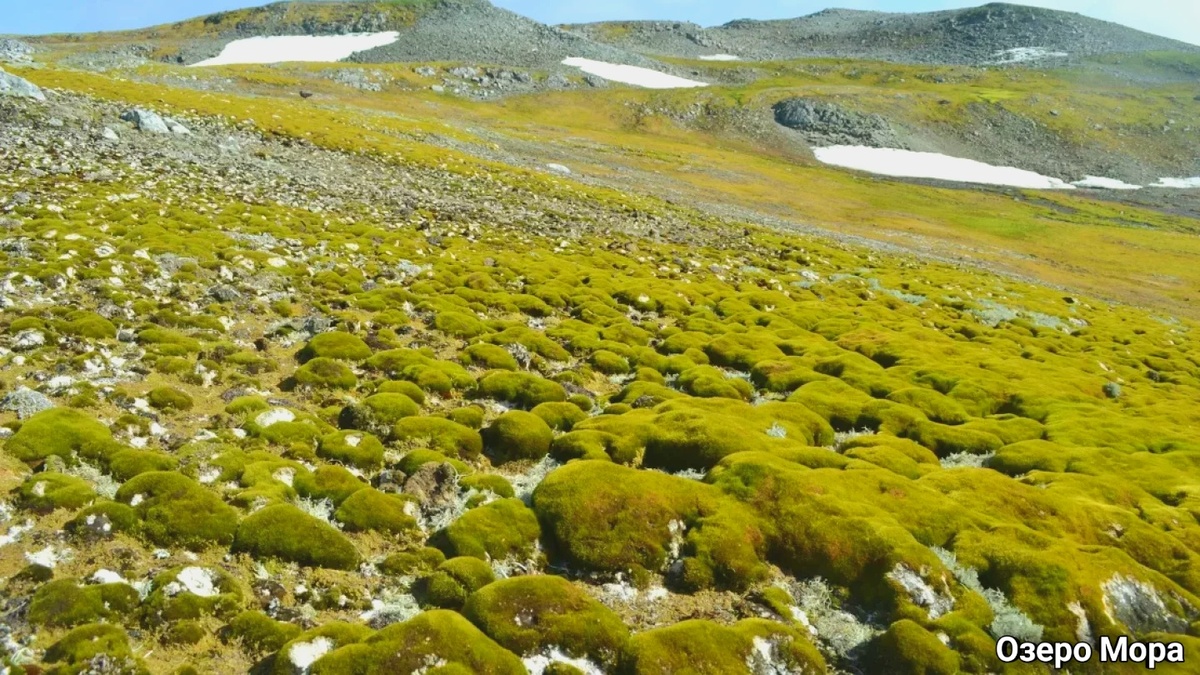 Фото Антарктиды сделанное в 2024. Сильно отличается от того ледника что обычно нам представлялся, не правда ли?