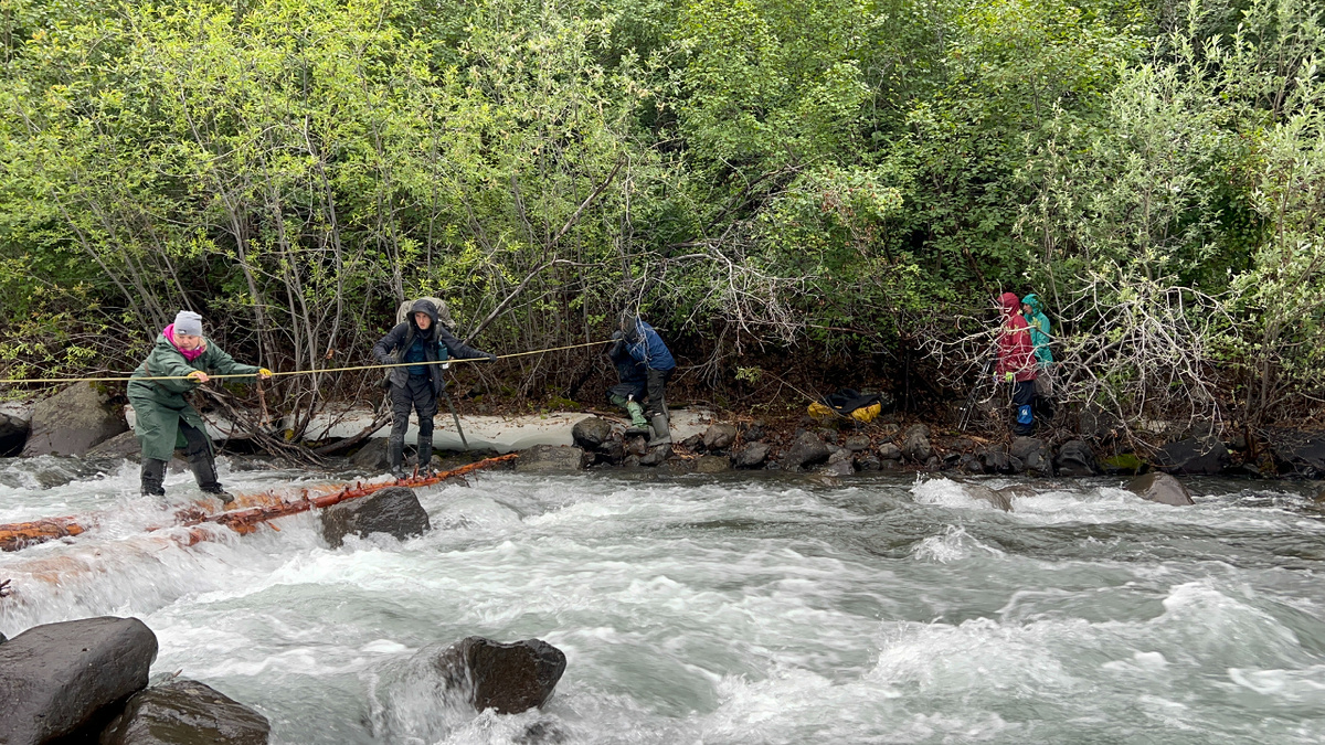 Брод черед приток Хойси