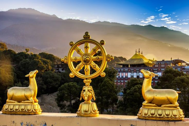 В буддизме дхарма — это одна из трёх драгоценностей, учение Будды, которое помогает найти осознанность и радость. Также дхарму описывают как естественный ход вещей (универсальный закон) и учения Будды, которые указывают на эту истину и описывают Путь к её реализации (другими словами, просветление).