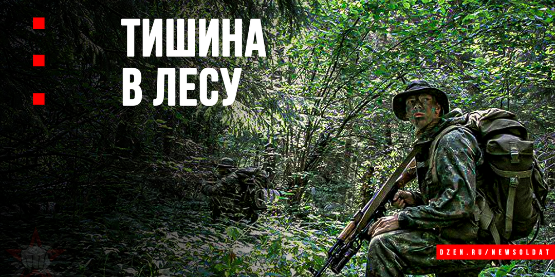 Как обеспечить бесшумность в лесу: советы для разведчиков и бойцов