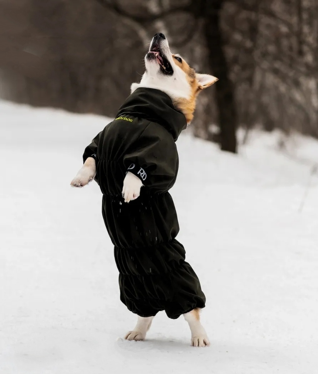 Из свободного доступа