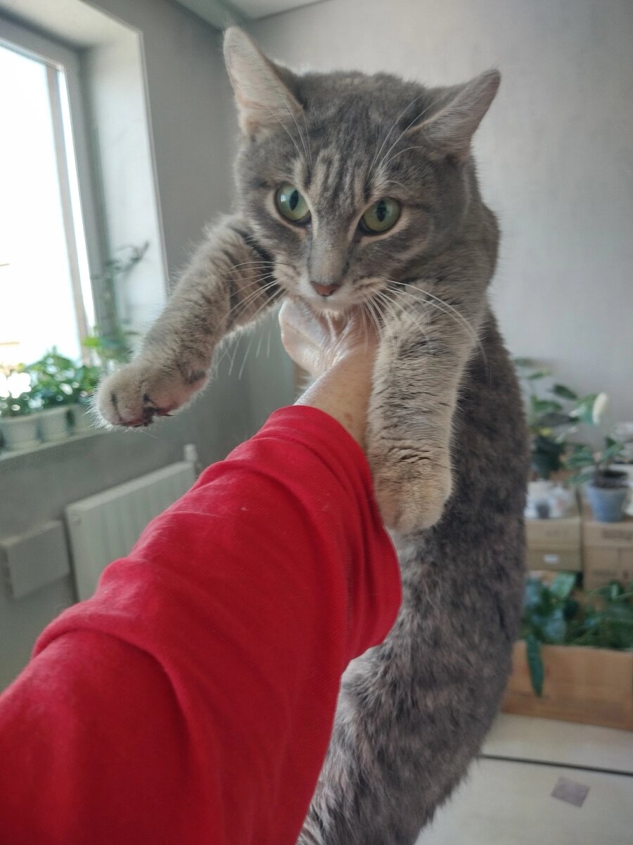 -2