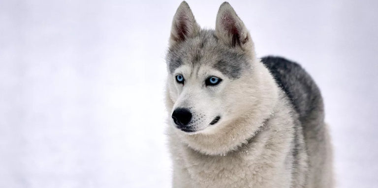    Фото: Официальный сайт Мэра Москвы / М. Денисов Екатерина Шахнина