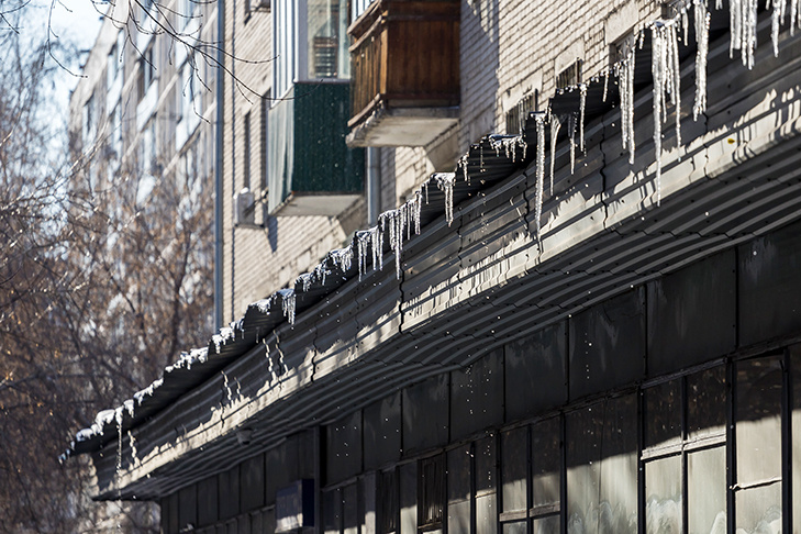    Фото Андрея Заржецкого