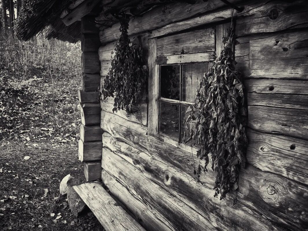 Изображение взято из открытых источников интернета. 