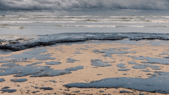    Одобрено 25 новых российских патентов, связанных с ликвидацией разлива нефтепродуктов Андрей Галкин