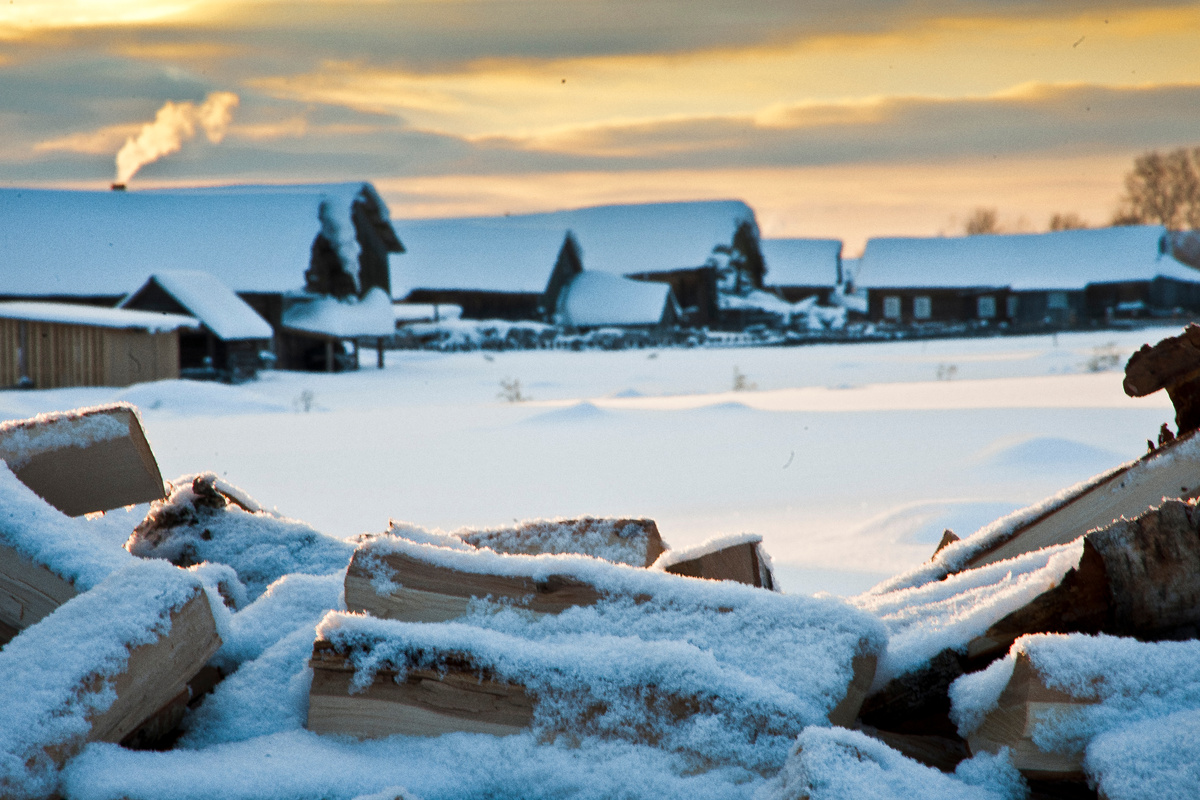 фото: Konstantin Kokoshkin/Russian Look/Global Look Press