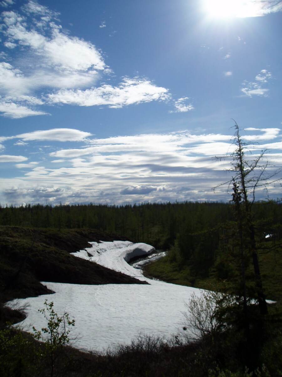 (Из личного архива моих фотографий),наше лето))