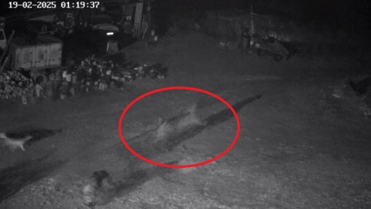     Источник: novosti_25r