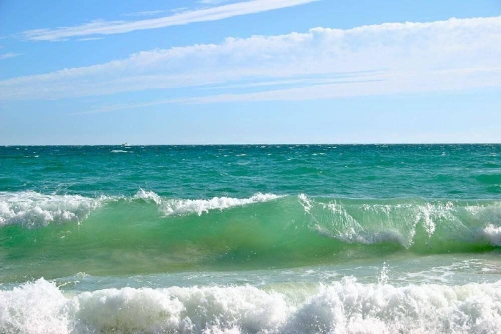 Картинка из интернета