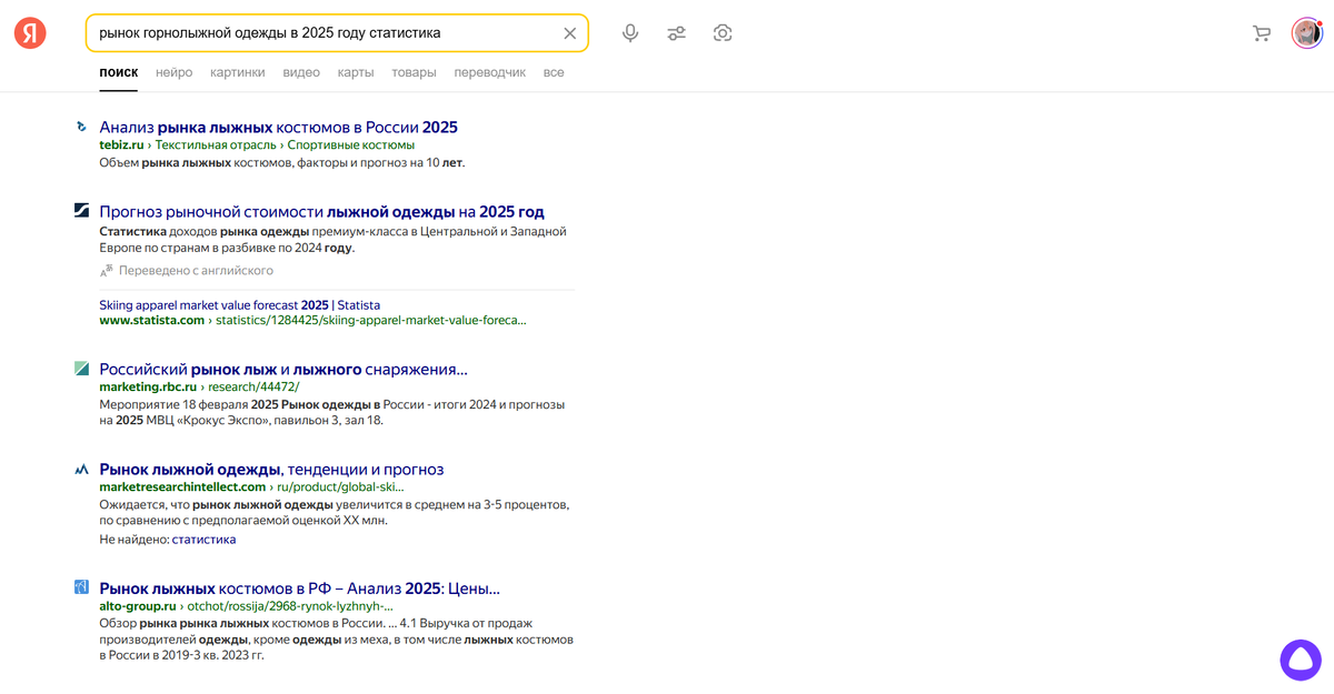 Запрос в браузере на статистику горнолыжной одежды в 2025 году