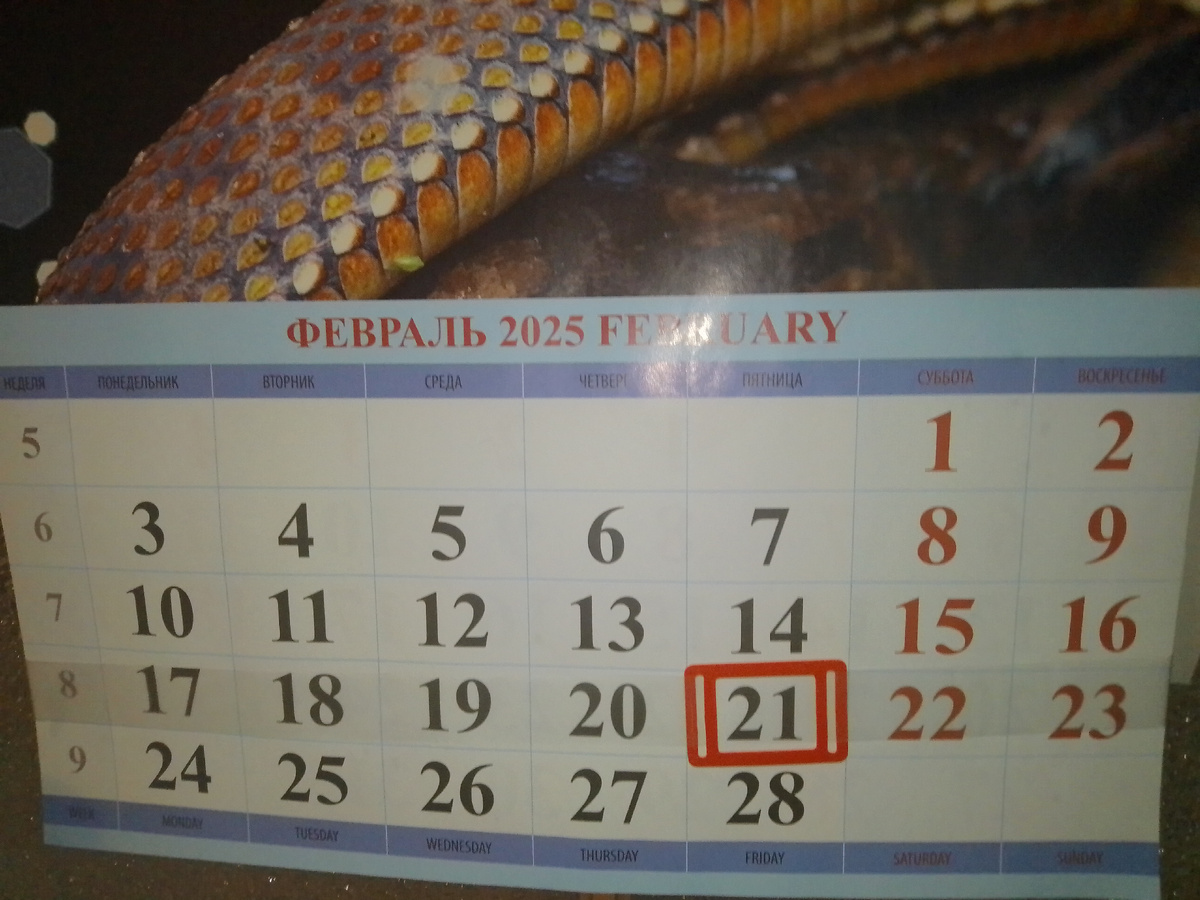 Фото автора