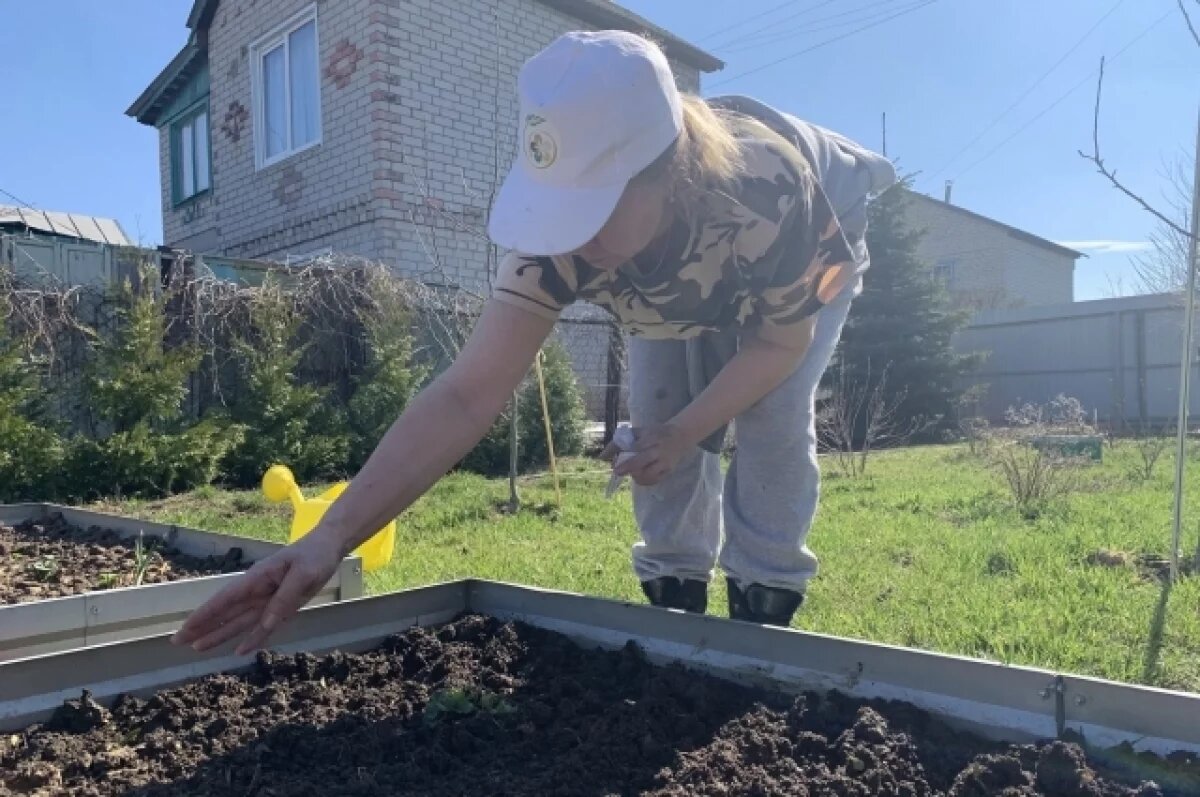    Копай или отдай!