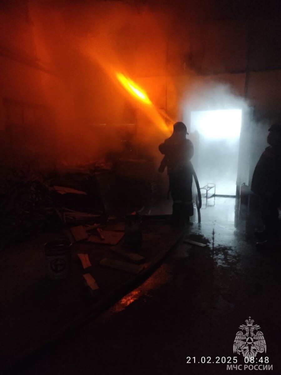    Пожар на улице Аносова. Источник: МЧС Алтайского края